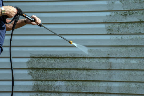 Roof Power Washing Services in Roselle, IL